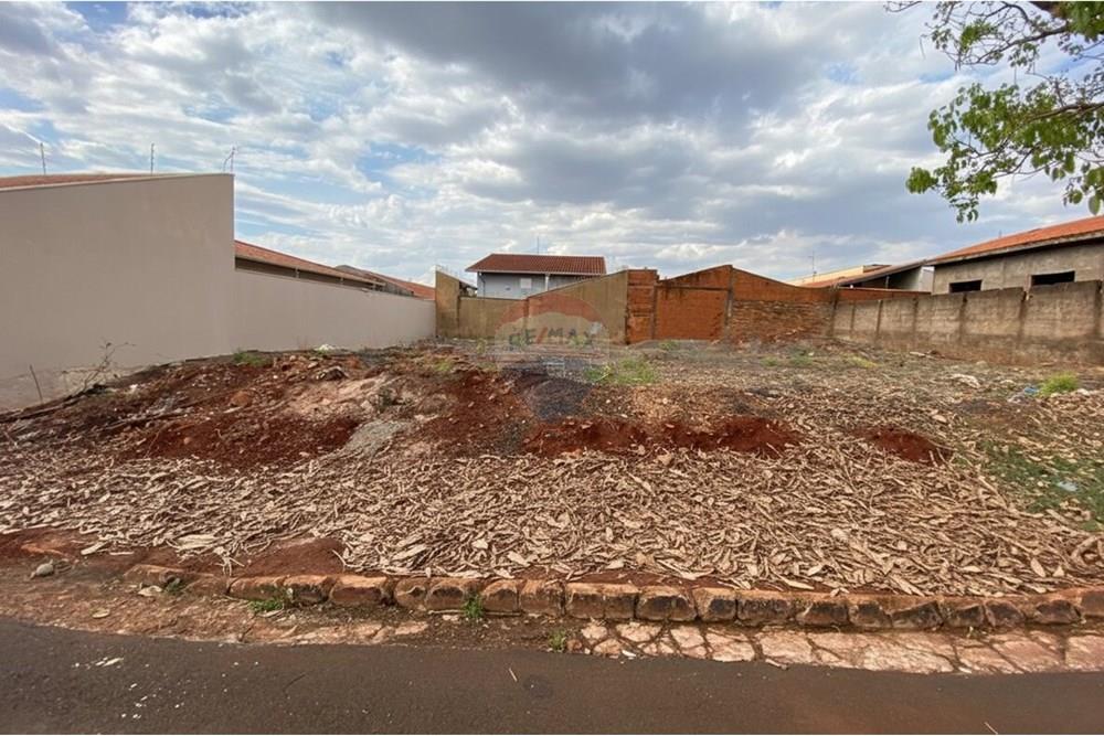 Terreno - Venda - São Joaquim da Barra , São Paulo - 6.jpg - 780301006-44