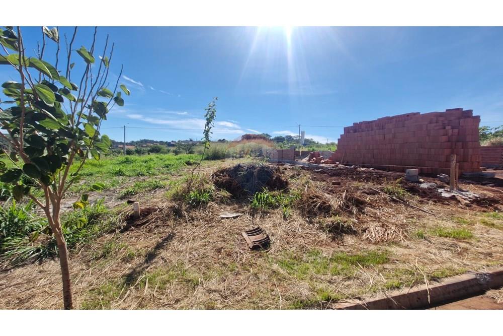 Terreno - Venda - Dumont , São Paulo - WhatsApp Image 2026-04-06 at 11.15.35 (5).jpeg - 780181011-299