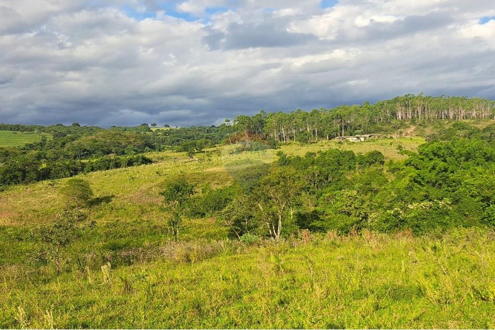 Chácara / Sítio / Fazenda - Venda - Cajuru , São Paulo - IMG-20250406-WA0176.jpg - 780171030-59