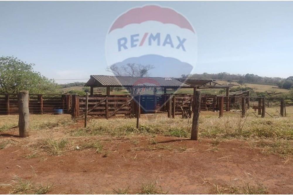 Fazenda - Venda - Patrocínio Paulista , São Paulo - 10 Curral.jpg - 780201085-2