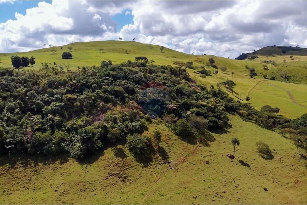 Chácara / Sítio / Fazenda - Venda - Cajuru , São Paulo - IMG_9365.jpg - 780241009-47