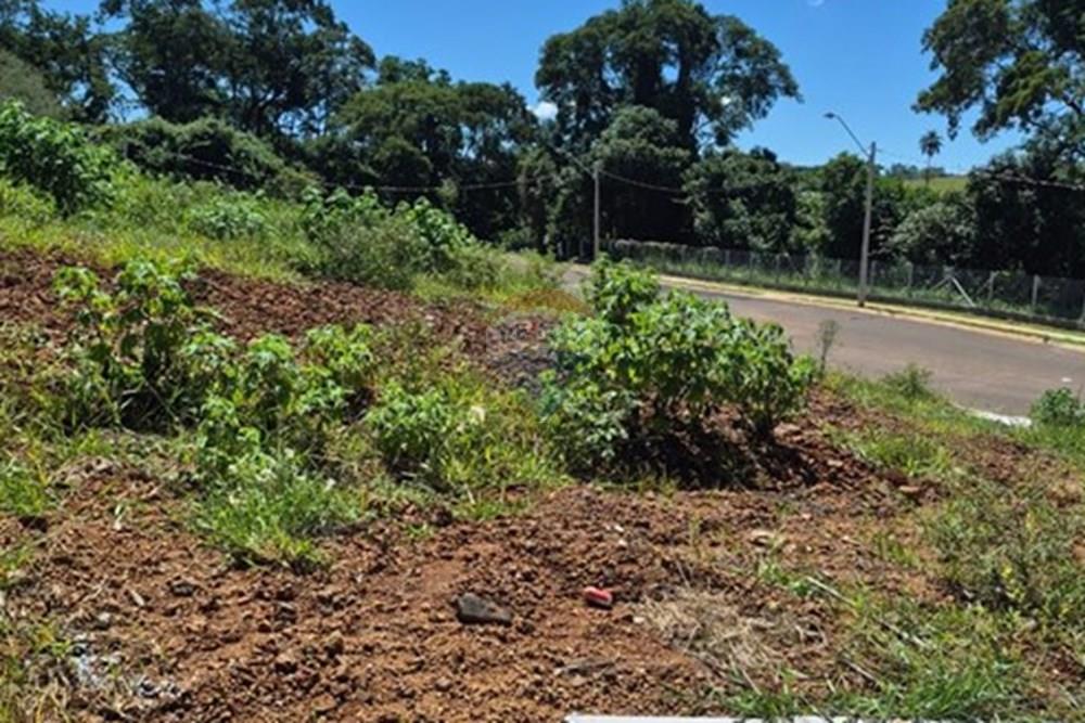 Terreno - Venda - Franca , São Paulo - WhatsApp Image 2026-03-20 at 11.32.51.jpeg - 780231075-11