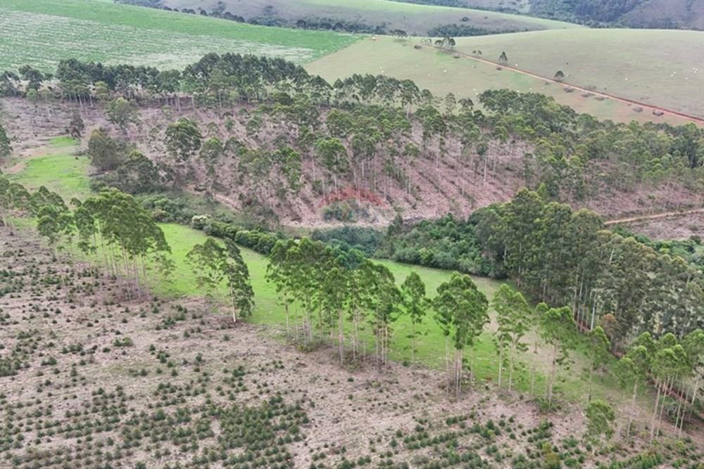 Chácara / Sítio / Fazenda - Venda - Aiuruoca , Minas Gerais - DJI_20241113155409_0322_D.JPG - 780251035-5