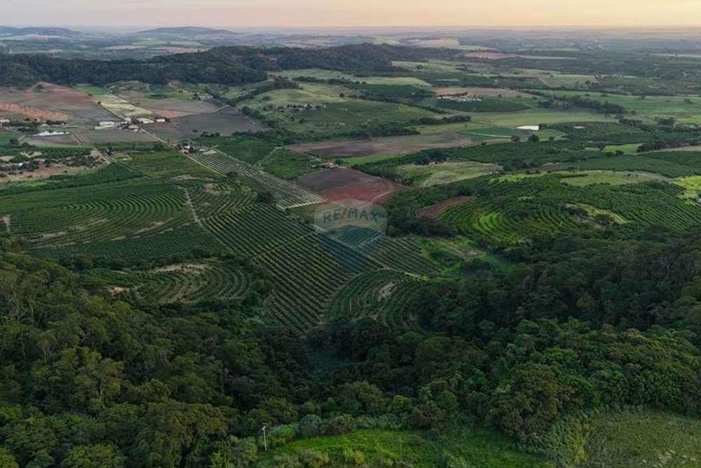 Chácara / Sítio / Fazenda - Venda - Monte Alto , São Paulo - foto 5.jpg - 780271059-44