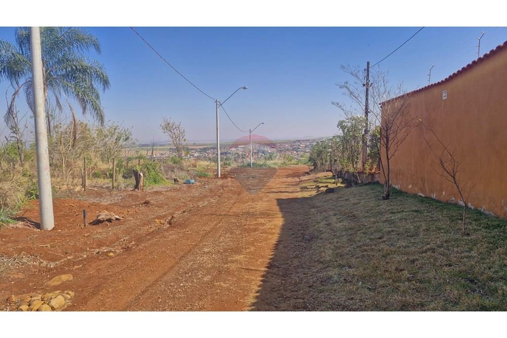 Chácara / Sítio / Fazenda - Venda - Dumont , São Paulo - WhatsApp Image 2025-09-03 at 09.53.18 (9).jpeg - 780181011-281