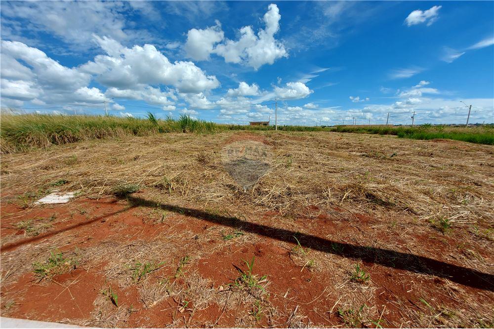 Terreno - Venda - Cravinhos , São Paulo - 17 - 780071037-60