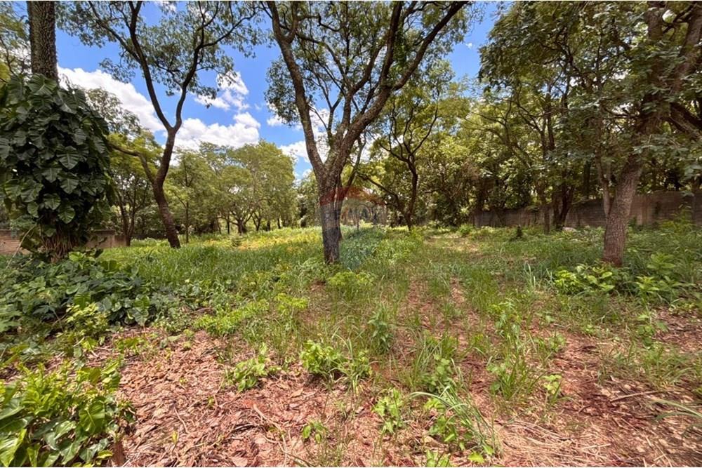 Terreno - Venda - Ribeirão Preto , São Paulo - 6.jpeg - 780121043-20
