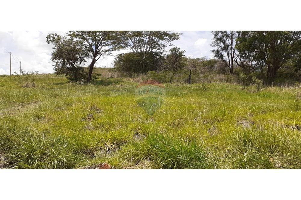 Terreno - Venda - São Joaquim da Barra , São Paulo - IMG-20251202-WA0139.jpg - 780301010-6