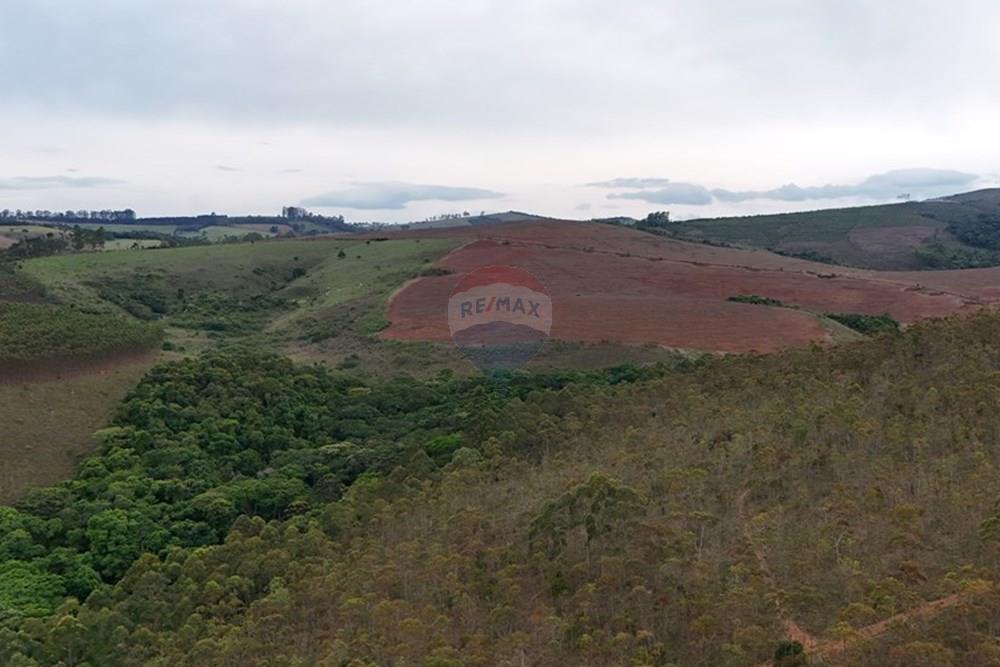 Chácara / Sítio / Fazenda - Venda - Aiuruoca , Minas Gerais - DJI_20241113153701_0313_D.JPG - 780251035-5