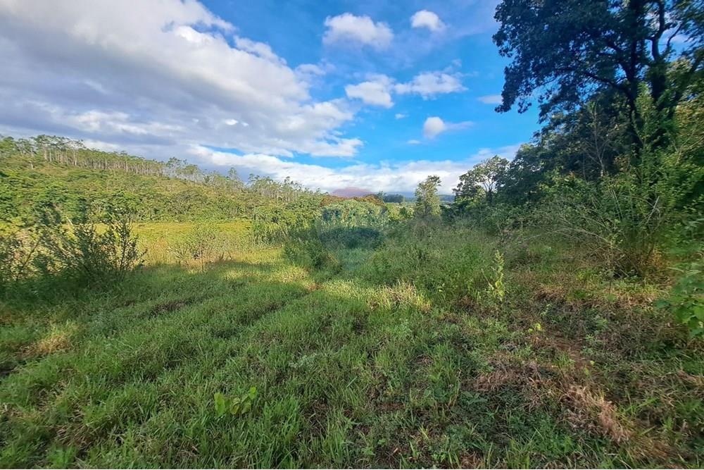 Fazenda - Venda - Cajuru , São Paulo - IMG-20250406-WA0180.jpg - 780171030-57