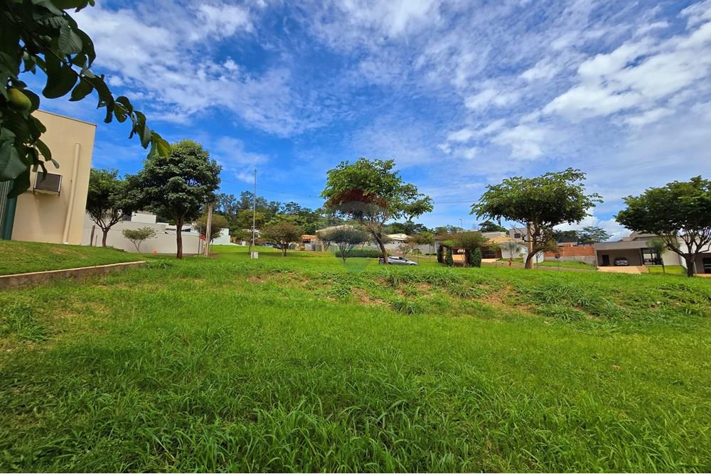 Terreno - Venda - Ribeirão Preto , São Paulo - 20250129_101746.jpg - 780251037-64