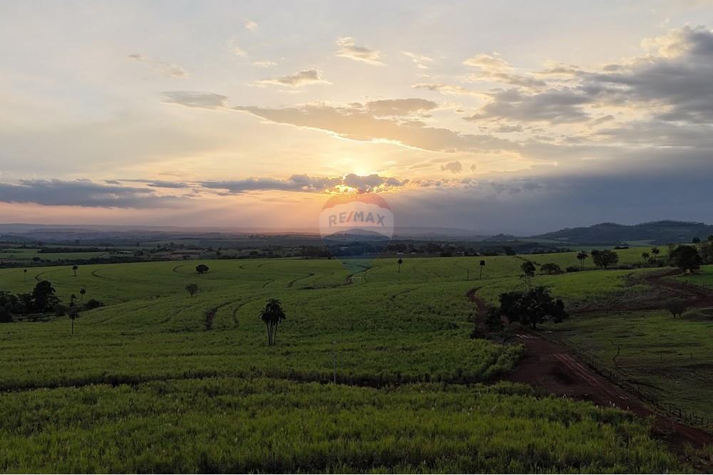 Fazenda - Venda - Cajuru , São Paulo - dji_fly_20241031_180122_0253_1730844743309_photo (1).jpg - 780271061-50