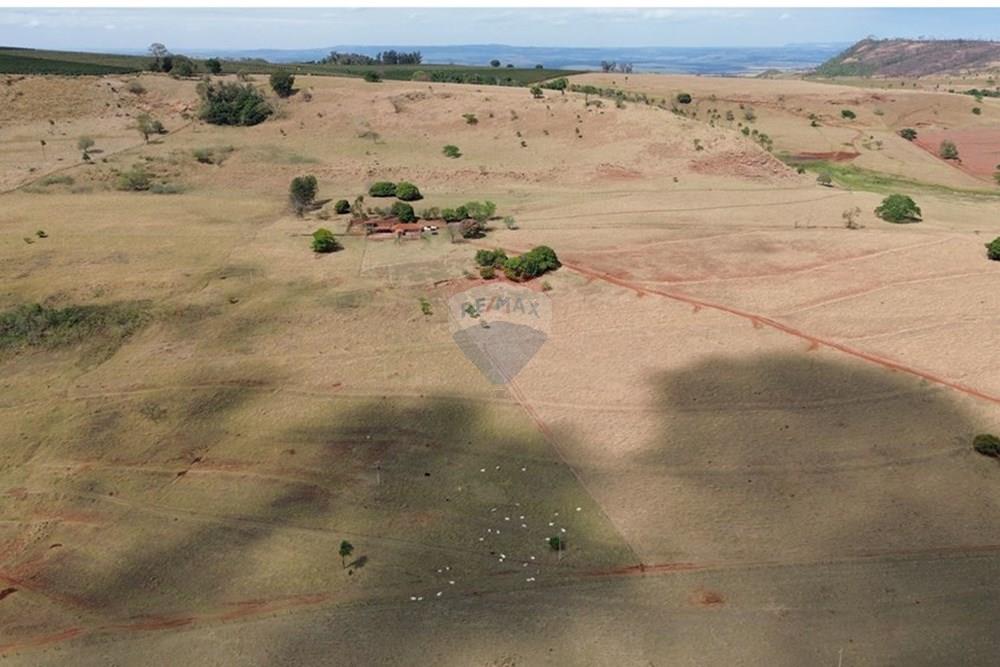 Fazenda - Venda - Cajuru , São Paulo - DJI_0278.JPG - 780171030-74