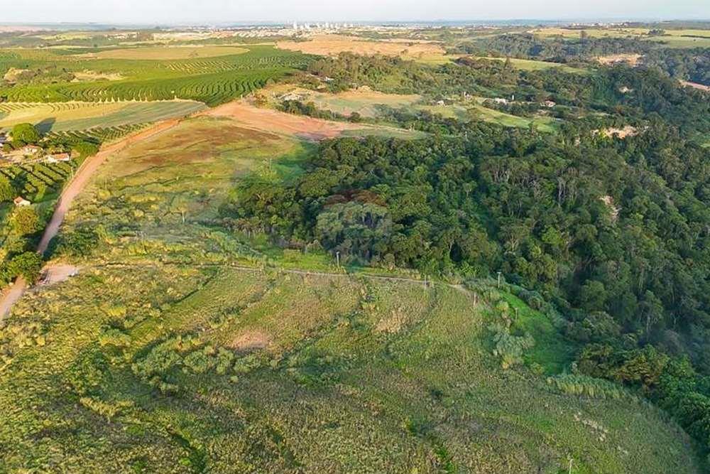 Chácara / Sítio / Fazenda - Venda - Monte Alto , São Paulo - foto 17.jpg - 780271059-44