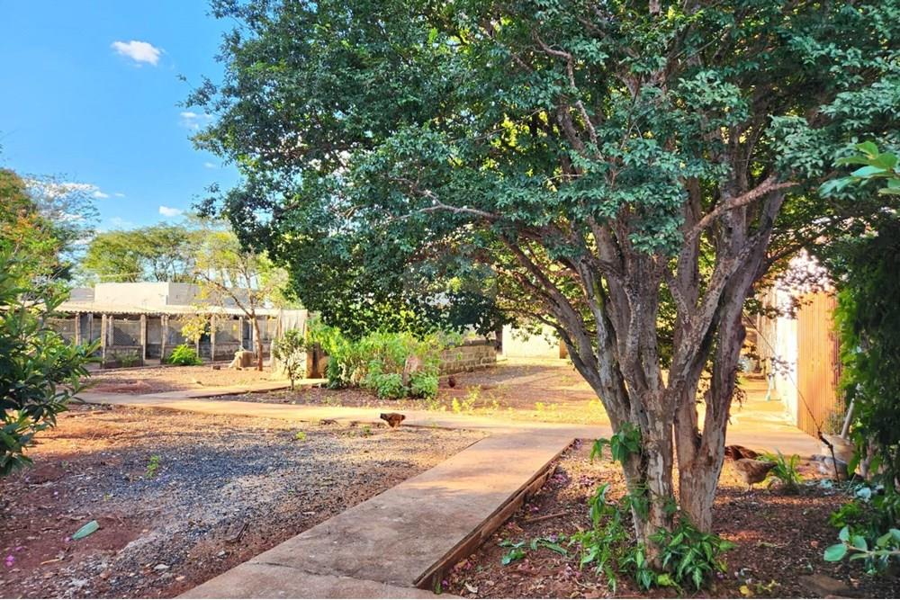 Chácara / Sítio / Fazenda - Venda - Ribeirão Preto , São Paulo - WhatsApp Image 2025-06-27 at 10.59.02 (1).jpeg - Pátio interno - 780091032-138