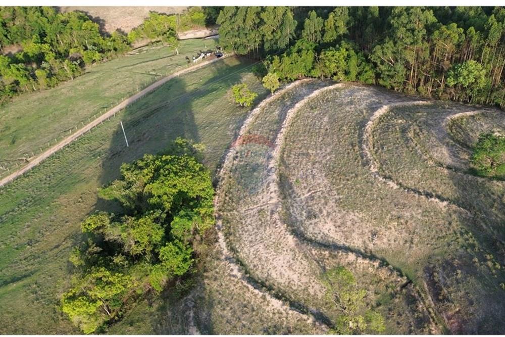 Chácara / Sítio / Fazenda - Venda - Santo Antônio da Alegria , São Paulo - DJI_0393.JPG - 780171030-68