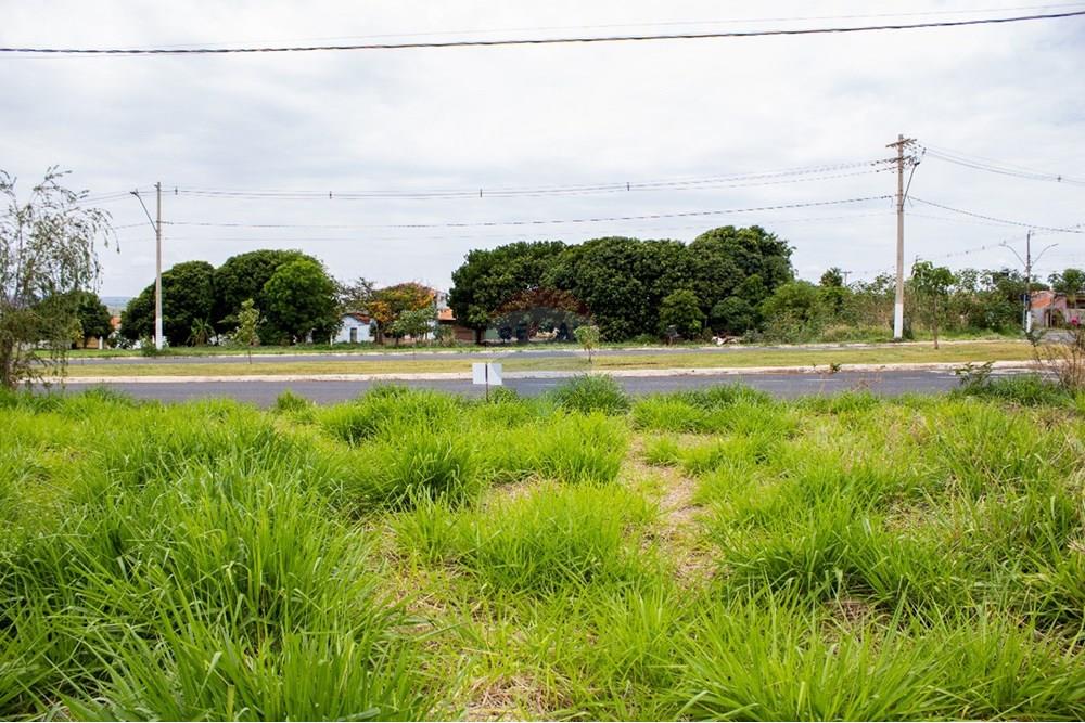 Terreno - Venda - São Joaquim da Barra , São Paulo - WhatsApp Image 2025-11-16 at 21.29.10.jpeg - 780301007-9