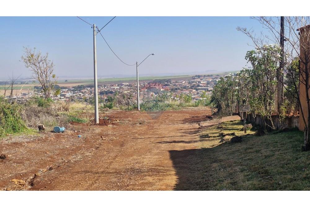 Chácara / Sítio / Fazenda - Venda - Dumont , São Paulo - WhatsApp Image 2025-09-03 at 09.53.18 (11).jpeg - 780181011-281