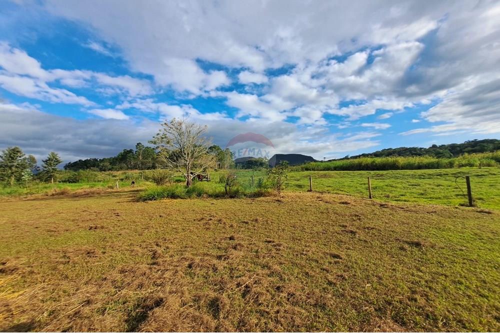 Fazenda - Venda - Cajuru , São Paulo - IMG-20250406-WA0114.jpg - 780171030-57