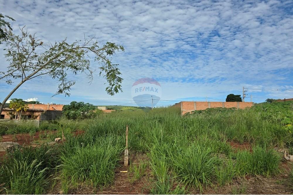 Terreno - Venda - Ribeirão Preto , São Paulo - WhatsApp Image 2025-04-17 at 15.43.11 (3).jpeg - 780101051-1