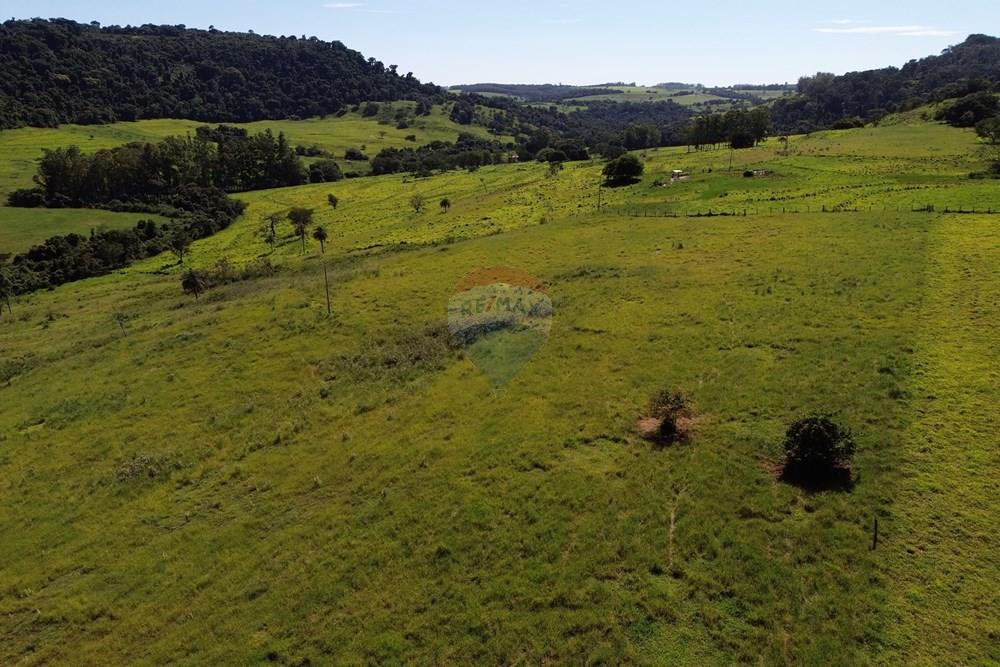 Fazenda - Venda - Cajuru , São Paulo - DJI_0014.JPG - 780171030-74