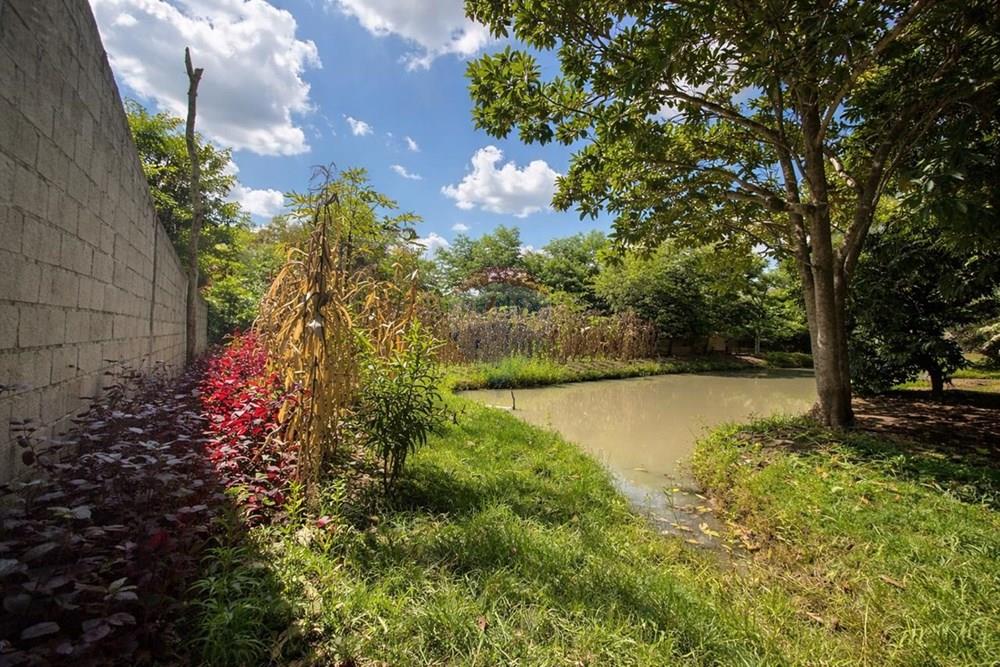 Chácara / Sítio / Fazenda - Venda - Sertãozinho , São Paulo - WhatsApp Image 2026-03-17 at 01.09.05.jpeg - 780191016-54