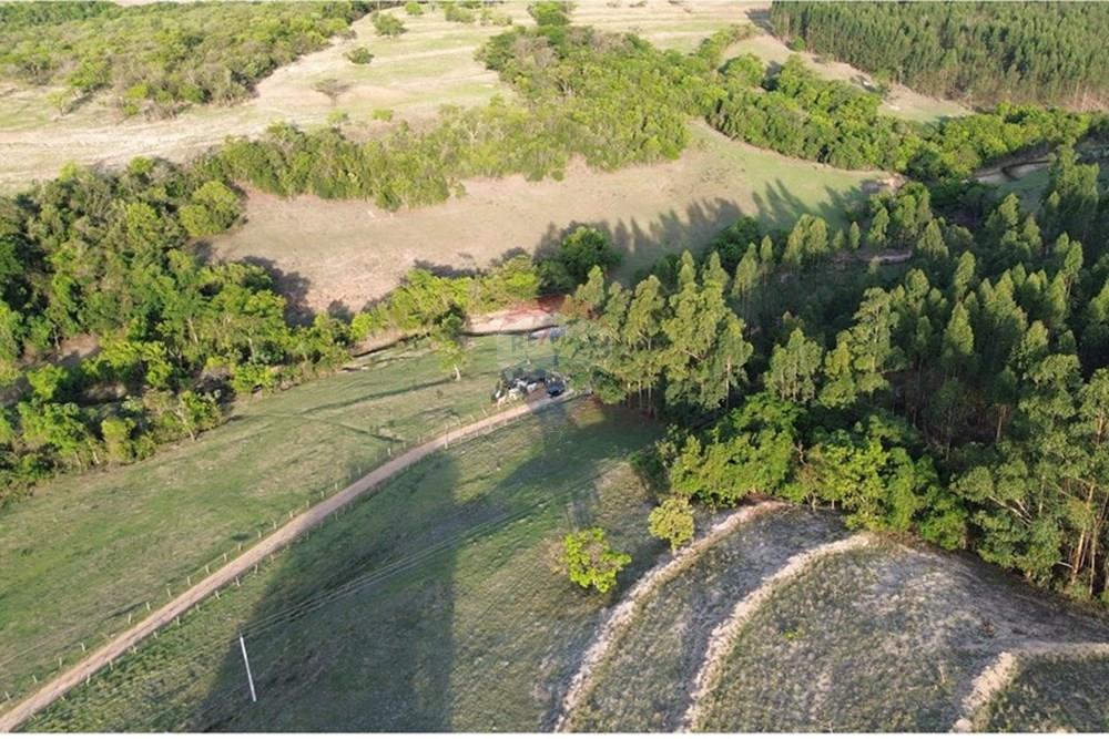 Chácara / Sítio / Fazenda - Venda - Santo Antônio da Alegria , São Paulo - DJI_0395.JPG - 780171030-68