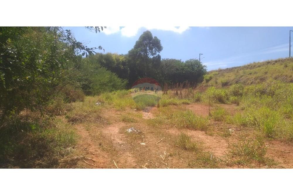 Terreno - Venda - Cristais Paulista , São Paulo - Imagem do WhatsApp de 2025-03-17 à(s) 15.07.09_641f9eee.jpg - 780231035-21