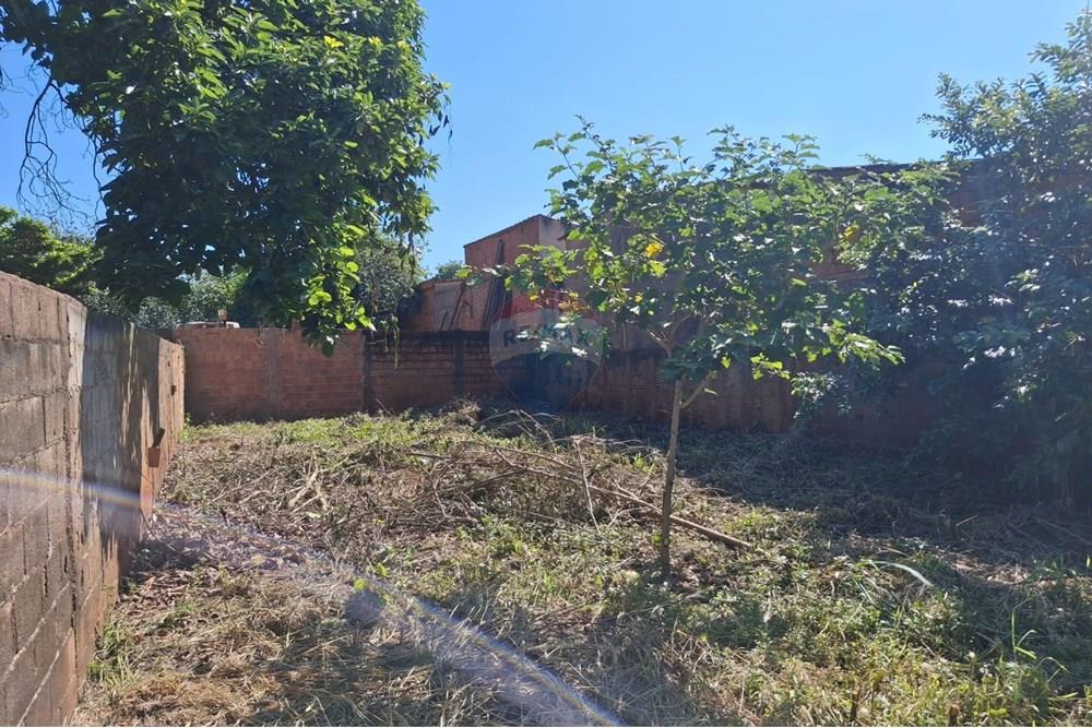 Terreno - Venda - Sertãozinho , São Paulo - FOTO6.jpeg - 780191003-118