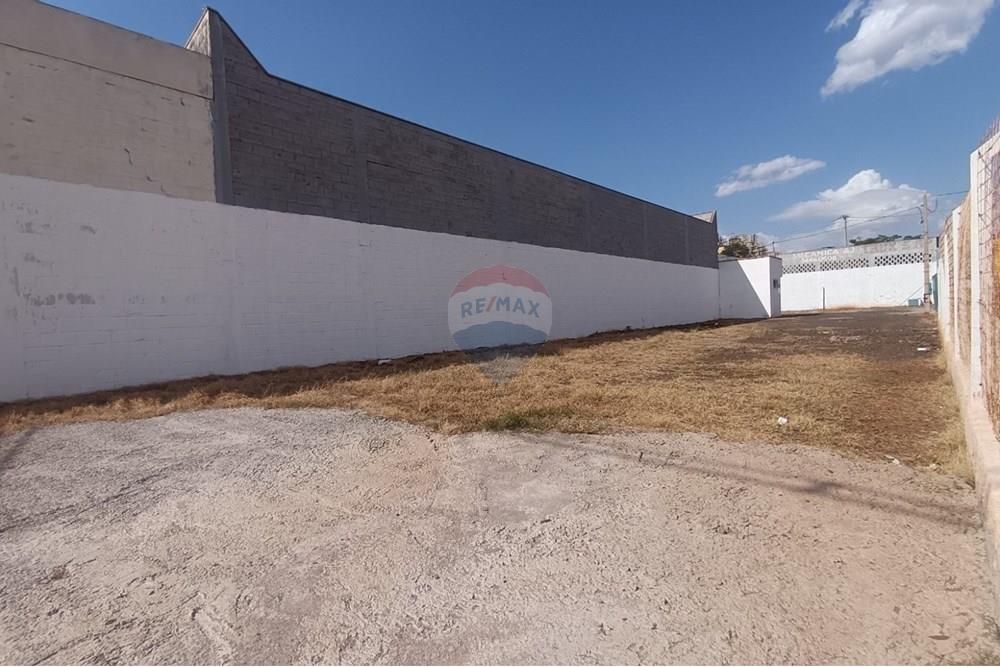 Outros - Alugar - Ribeirão Preto , São Paulo - IMG-20250812-WA0053.jpg - 780181010-328