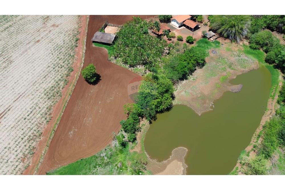 Chácara / Sítio / Fazenda - Venda - Buritizal , São Paulo - WhatsApp Image 2025-11-08 at 17.10.07.jpeg - 780131009-139