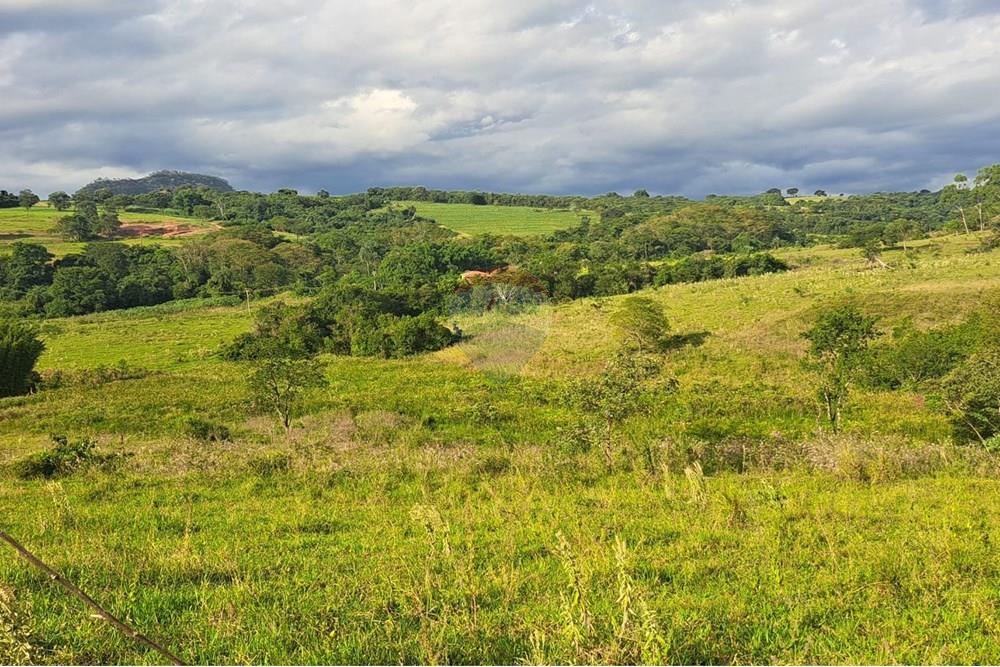 Chácara / Sítio / Fazenda - Venda - Cajuru , São Paulo - IMG-20250406-WA0175.jpg - 780171030-59