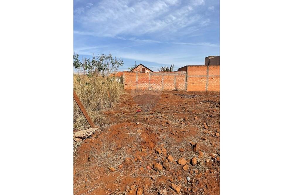 Terreno - Venda - São Joaquim da Barra , São Paulo - IMG_5289.JPEG - 780301001-6