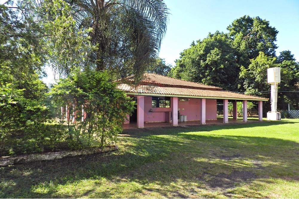 Chácara / Sítio / Fazenda - Venda - Ribeirão Preto , São Paulo - 15.JPG - 780091070-39