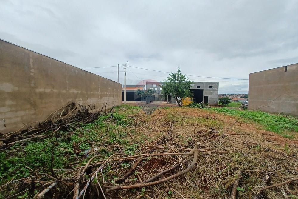Terreno - Venda - Cravinhos , São Paulo - 20260225_114842.jpg - 780121006-94