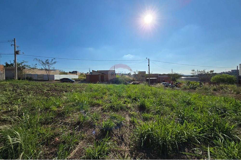 Terreno - Venda - Ribeirão Preto , São Paulo - WhatsApp Image 2025-06-11 at 17.53.05 (1).jpeg - 780101051-1