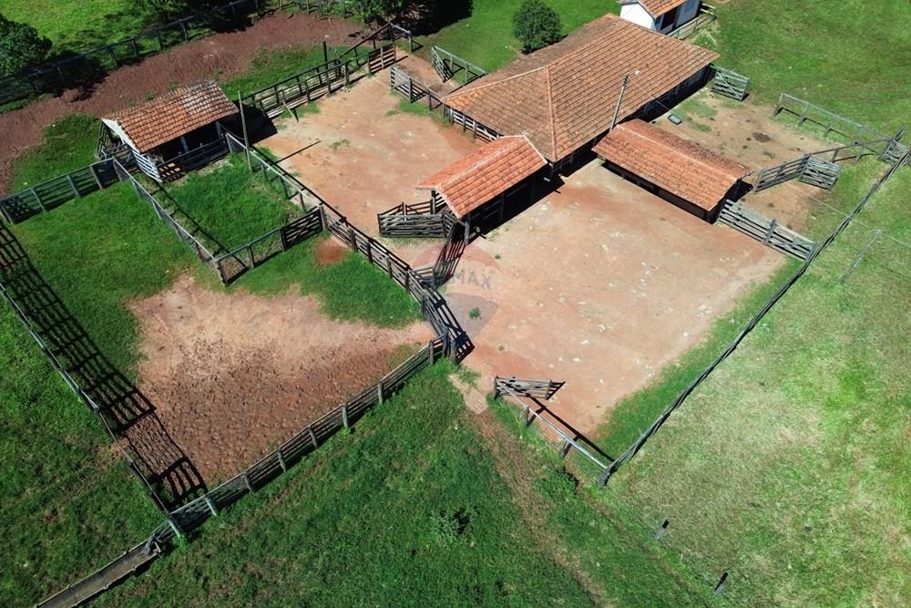 Fazenda - Venda - Cajuru , São Paulo - DJI_0010.JPG - 780171030-74