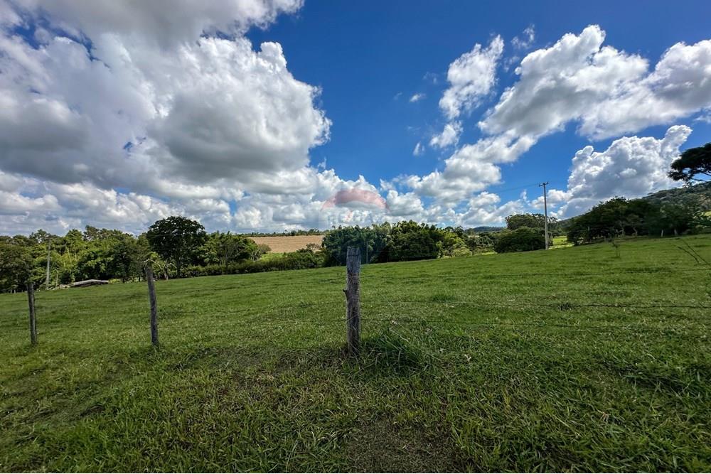 Chácara / Sítio / Fazenda - Venda - Cajuru , São Paulo - IMG_9453.jpg - 780241009-47