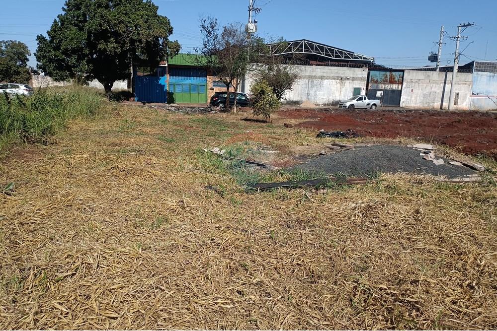 Terreno - Venda - Ribeirão Preto , São Paulo - IMG_20250626_105004.jpg - 780181007-772