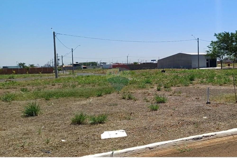 Terreno - Venda - Sertãozinho , São Paulo - IMG-20250926-WA0009.jpg - 780191016-33