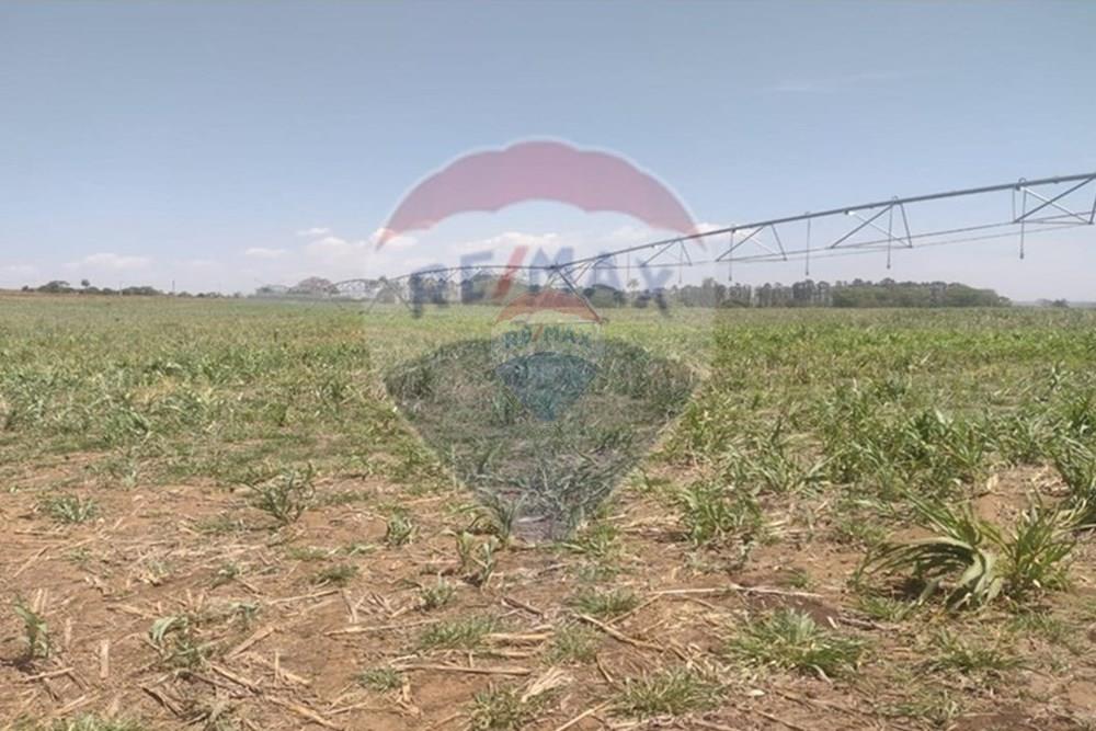 Fazenda - Venda - Patrocínio Paulista , São Paulo - 14 Aérea.jpg - 780201085-4