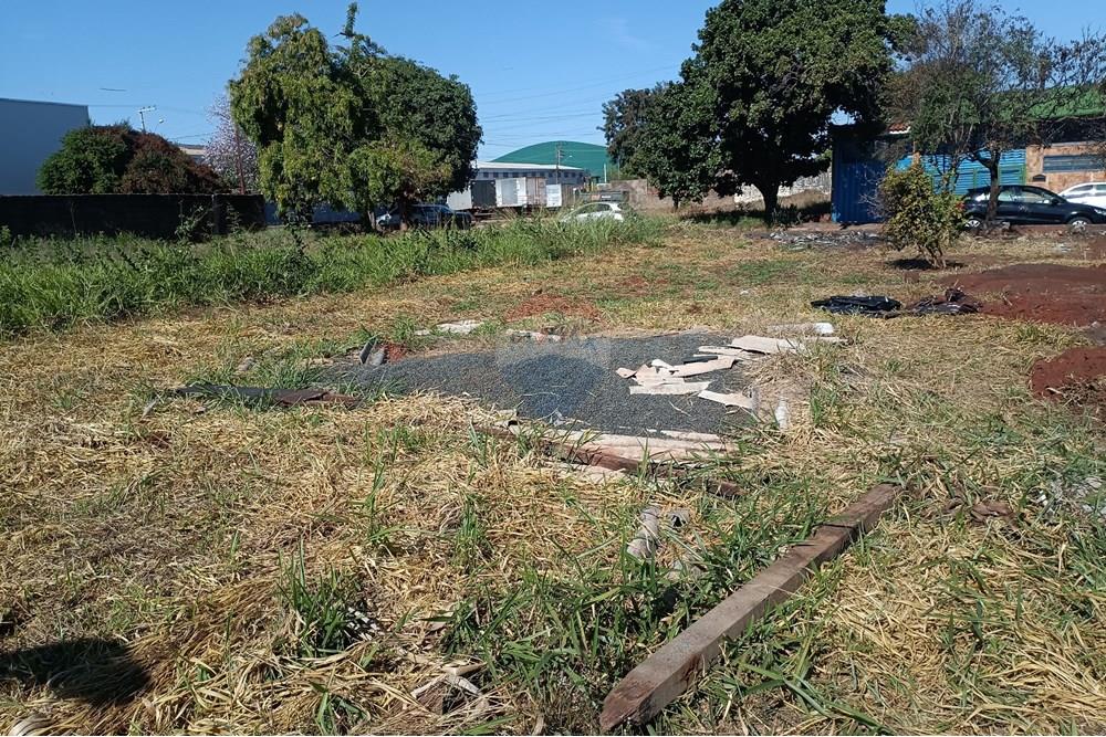 Terreno - Venda - Ribeirão Preto , São Paulo - IMG_20250626_104950.jpg - 780181007-772