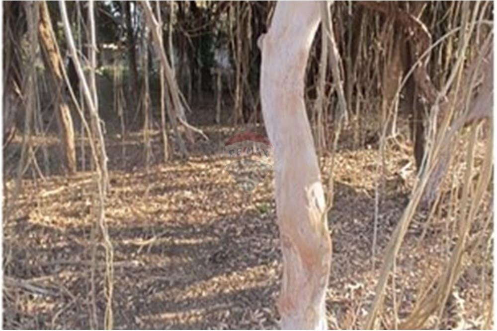 Chácara / Sítio / Fazenda - Venda - Franca , São Paulo - IMG-20251016-WA0029.jpg - 780231075-4