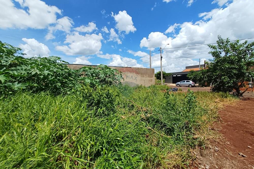 Terreno - Venda - Cravinhos , São Paulo - 20260117_133009.jpg - 780121006-94