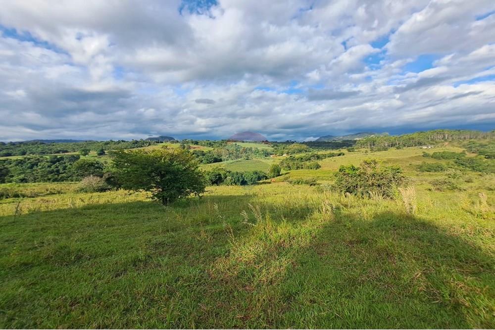 Fazenda - Venda - Cajuru , São Paulo - IMG-20250406-WA0165.jpg - 780171030-57