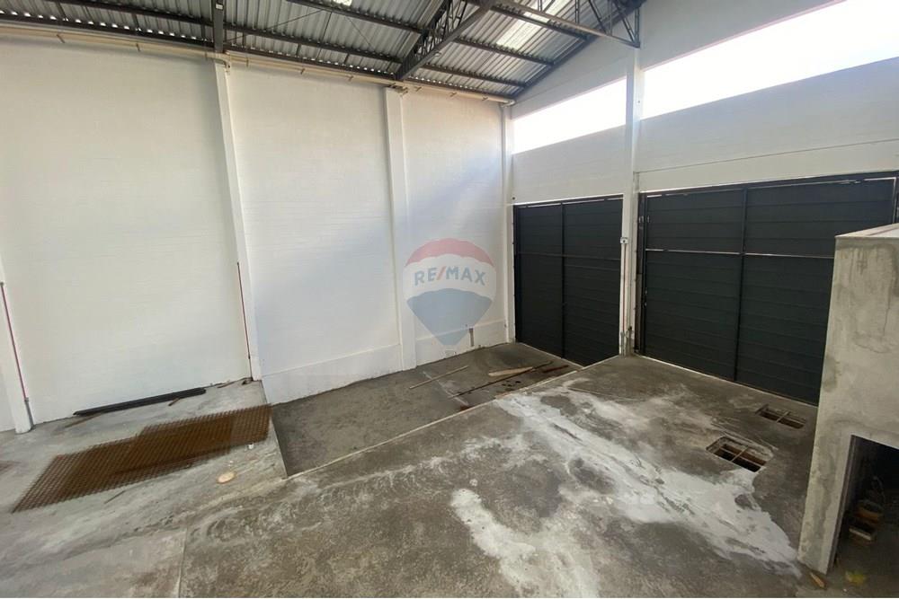 Galpão - Alugar - Ribeirão Preto , São Paulo - IMG-20250319-WA0004.jpg - 780181010-268