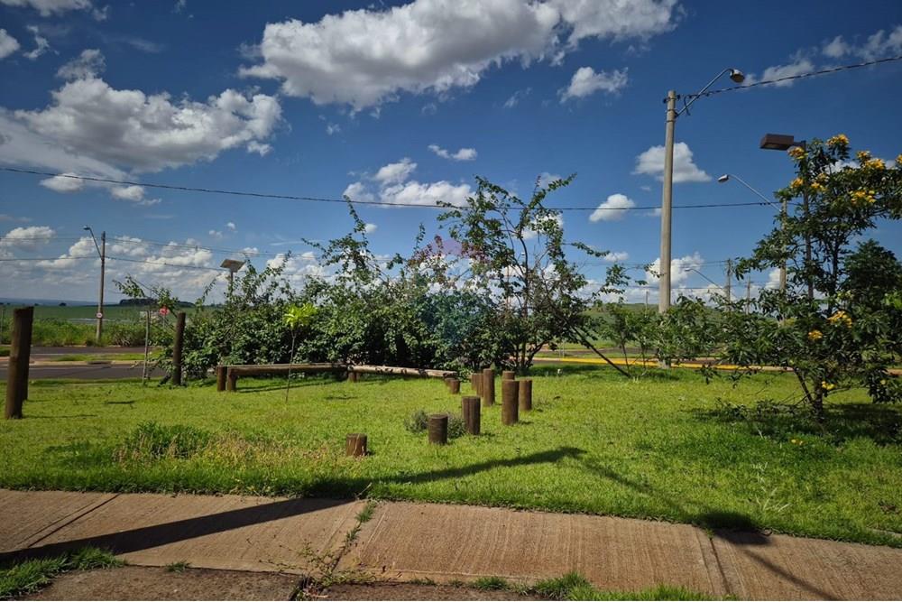 Terreno - Venda - Ribeirão Preto , São Paulo - WhatsApp Image 2025-01-13 at 18.46.01 (2).jpeg - 780181011-259