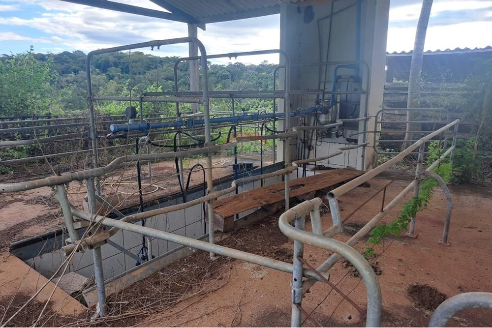 Chácara / Sítio / Fazenda - Venda - Cajuru , São Paulo - IMG-20250406-WA0107.jpg - 780171030-59