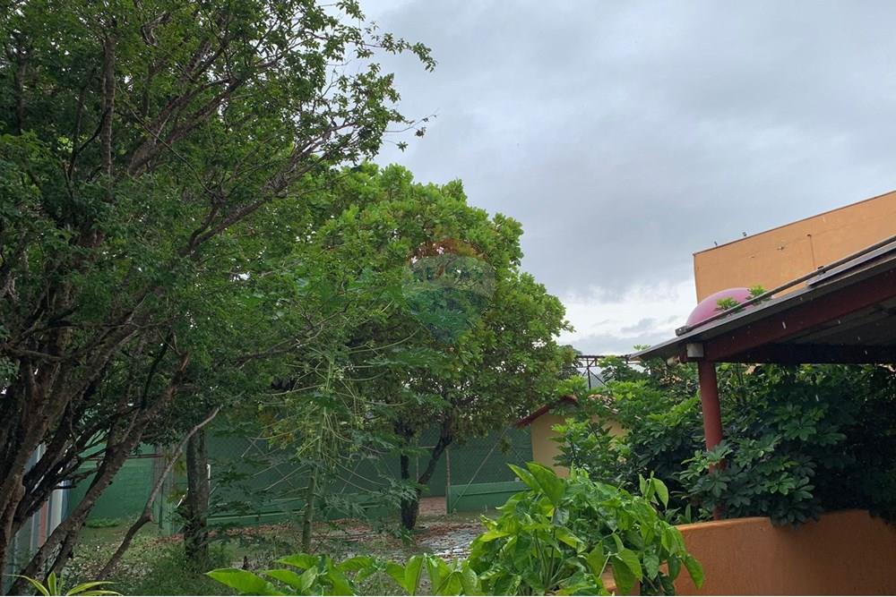 Casa Comercial - Alugar - Ribeirão Preto , São Paulo - WhatsApp Image 2025-02-03 at 10.59.09.jpeg - 780171030-78