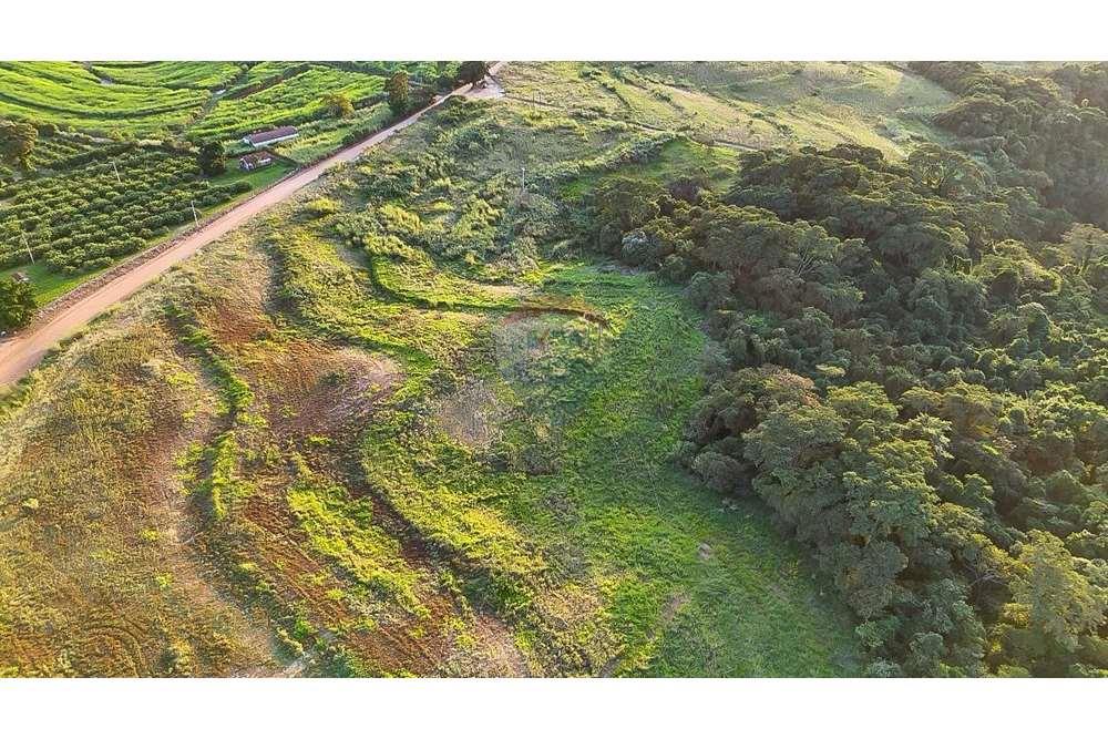 Chácara / Sítio / Fazenda - Venda - Monte Alto , São Paulo - foto 28.jpg - 780271059-44